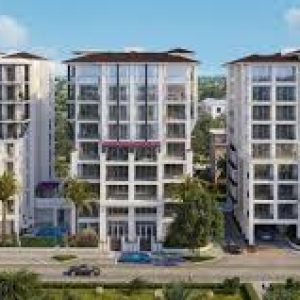 Reggie Saylor Real Estate Royal Palm Residences